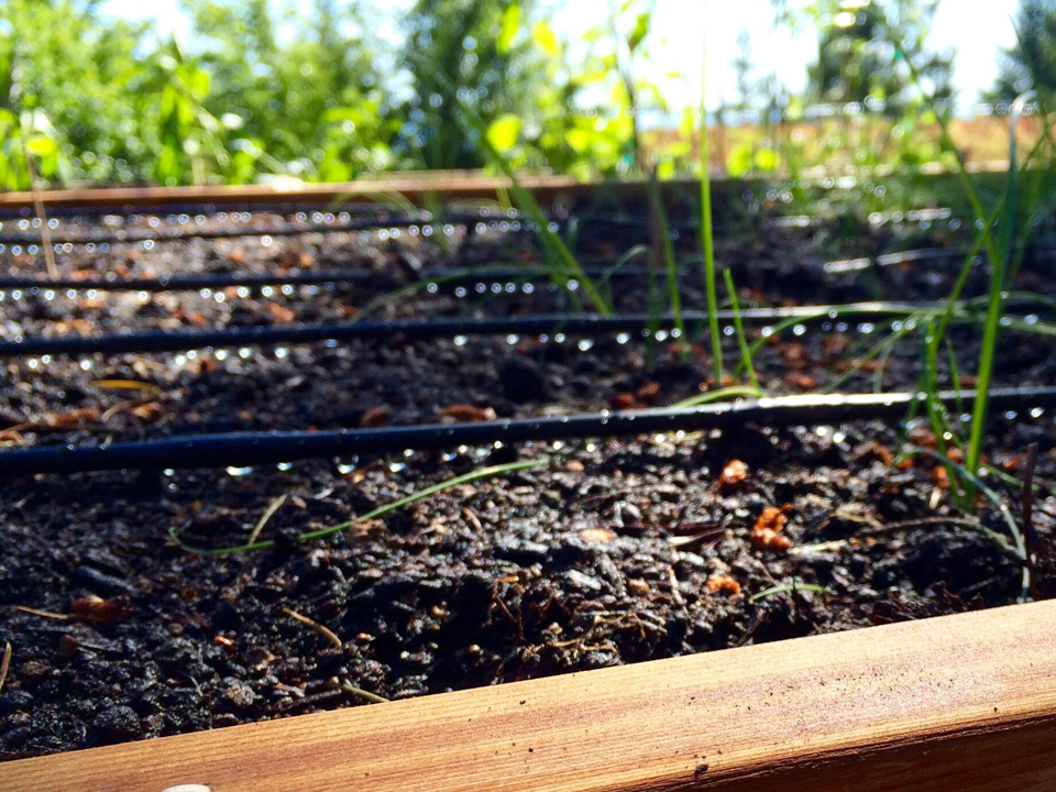 Sabine Hölzer - Der Bewässerungsschlauch erfüllt seinen Zweck und erleichtert mir die Arbeit im Garten sehr. Ich bin mit dem Kauf sehr zufrieden.